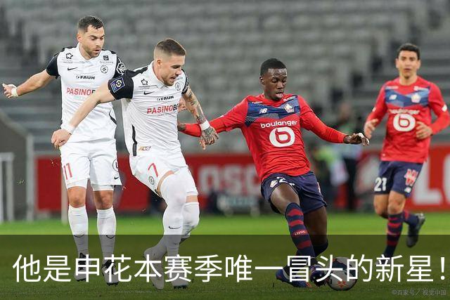 他是申花本赛季唯一冒头的新星！未来有望破格进国足，值得期待