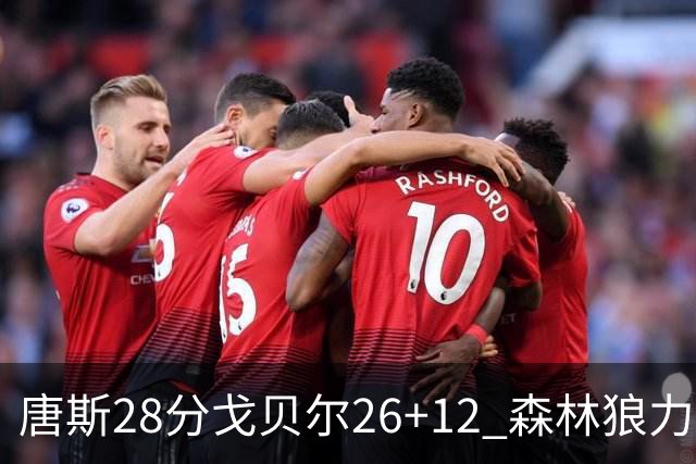 唐斯28分戈贝尔26+12 森林狼力克黄蜂4连胜