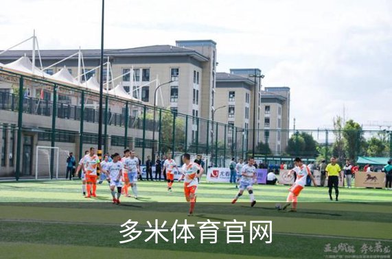 多米体育官网介绍