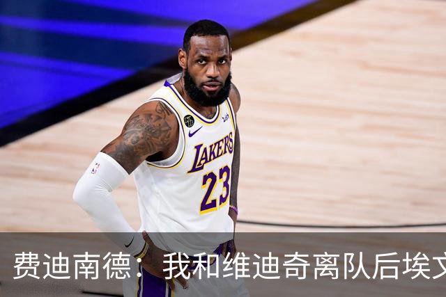 费迪南德：我和维迪奇离队后埃文斯能力最强